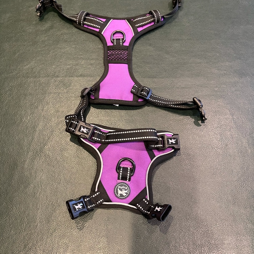 PoyPet 2019 Upgraded No Pull Dog Harness